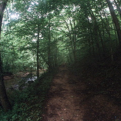 Big South Fork country